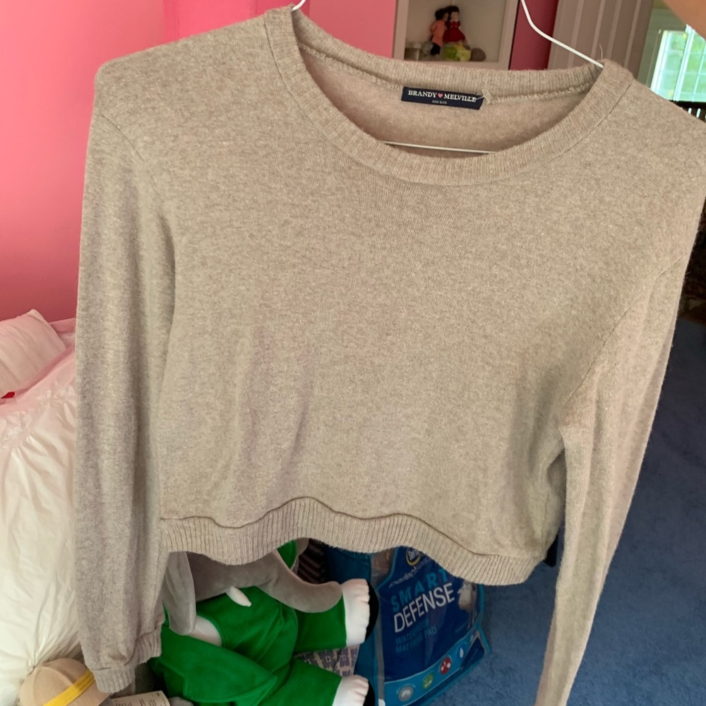 Brandy Melville crop sweater